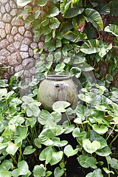 Overflow pot decoration