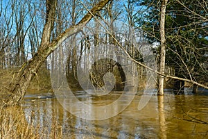 Overflowing creek in spring after heavy rain