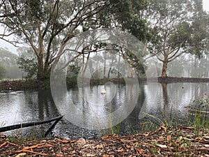 An overflowing  farm dam after the rain