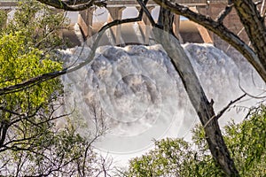 Overflowing Gariep Dam visible between branches of tree