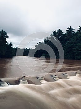 An overflowing River Dam In Kerala
