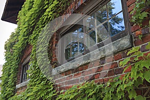 Overgrown Brick Building