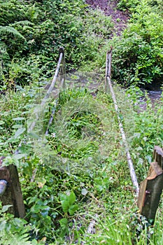Overgrown Broken Footbridge