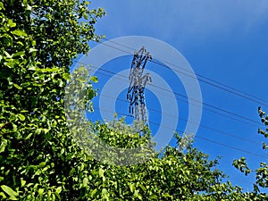 overgrown bushes and trees encroaching on high-voltage wires photo