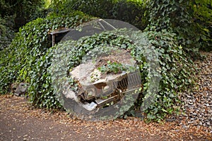 Overgrown car, large old limousine, good symbol for rising electric vehicle popularity and environment protection photo