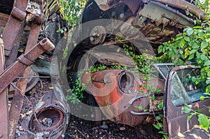 overgrown cars on a storage space
