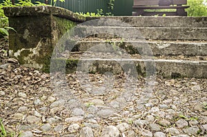 Overgrown cobblestone road and moss-covered steps in the park, i