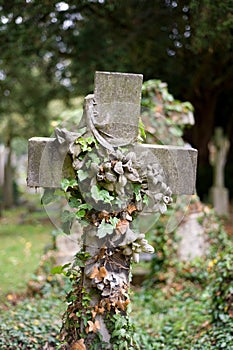 Overgrown cross in cemetery