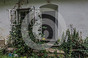 overgrown entrance in an uninhabited house in the forest