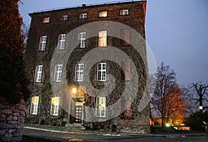 Overgrown facade of a historic building in Krakow.