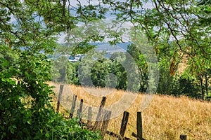 Overgrown farmland with a fence surrounding a field. Landscape of a sustainable agricultural farm with hay like grass