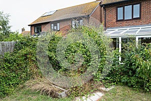 Overgrown garden or yard in front of a conservatory