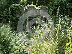 Overgrown grave stone in a cemetery
