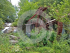 Overgrown Gristmill photo