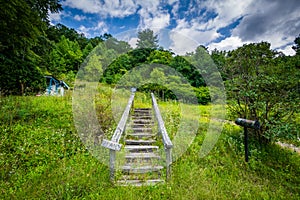 Overgrown hill and staircase in the rural Shenandoah Valley, Virginia.