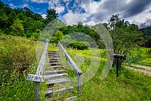 Overgrown hill and staircase in the rural Shenandoah Valley, Virginia.