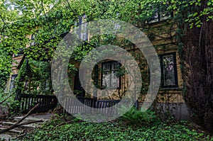 overgrown house in the forest