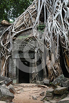 Overgrown Khmer Ruins