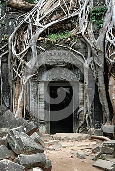 Overgrown Khmer Ruins