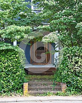 Overgrown Landscaping on Old Home