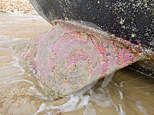 Overgrown with marine organisms, the keel of a sailing boat