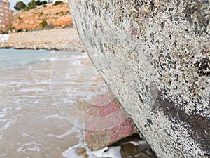 Overgrown with marine organisms the surface of the bottom of a s