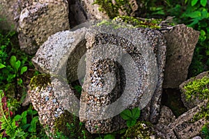 overgrown old dry stone wall with moss and lichen