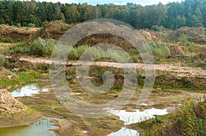 Overgrown old quarry, abandoned sand quarry