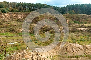 Overgrown old quarry, abandoned sand quarry