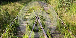 Overgrown old railway