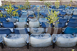 Overgrown old stadium seats