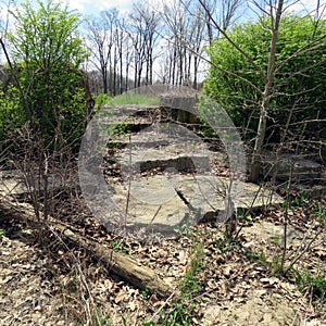 Overgrown Outdoor Stone Stairway