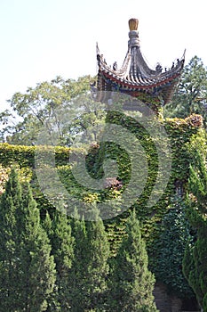 Overgrown Pagoda in Huaqing Palace near Xian