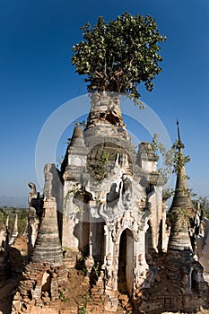 Overgrown pagoda ruins of Indein