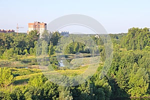 Overgrown pond in the city, a residential building and green thickets, morning, Moscow region, July 2021
