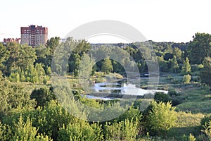 Overgrown pond in the city, a residential building and green thickets, Moscow region, July 2021