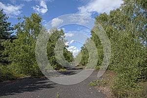 The overgrown remains of a runaway of an old air force base in Suffolk