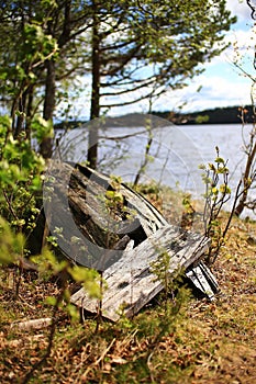 Overgrown remains of a wooden boat at riverside