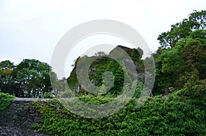 Overgrown Ruins of Dunollie Castle Ruins in Scotland