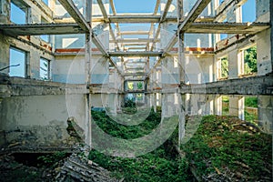 Overgrown ruins of house or industrial building