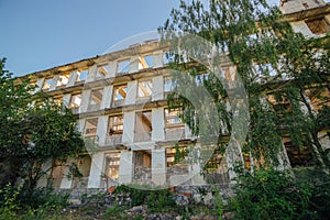 Overgrown ruins of house or industrial building, green post-apocalypse concept.