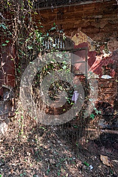 Overgrown ruins of an old dilapidated Portuguese era house