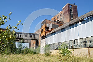 Overgrown ruins of old factory