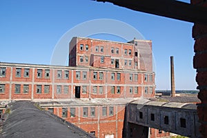 Overgrown ruins of old factory