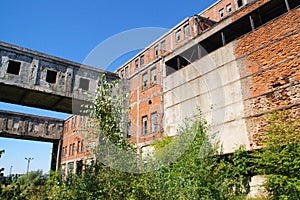 Overgrown ruins of old factory