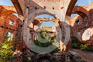 Overgrown ruins of red brick church