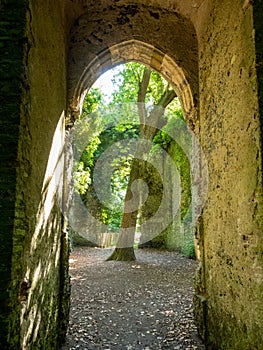 Overgrown ruins of St Maryâ€™s church, hidden in woods in East Somerton near Winterton-on-Sea, North Norfolk UK