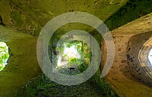 Overgrown ruins of St Maryâ€™s church, hidden in woods in East Somerton near Winterton-on-Sea, North Norfolk UK