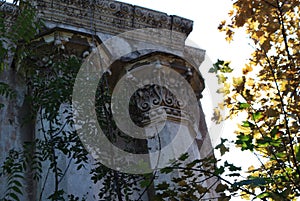 The overgrown ruins of the summer theater