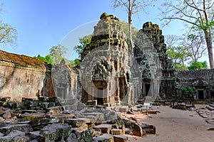 Overgrown ruins on Ta Prohm Temple, Angkor, Siem Reap, Cambodia. Big roots over the walls of a temple.